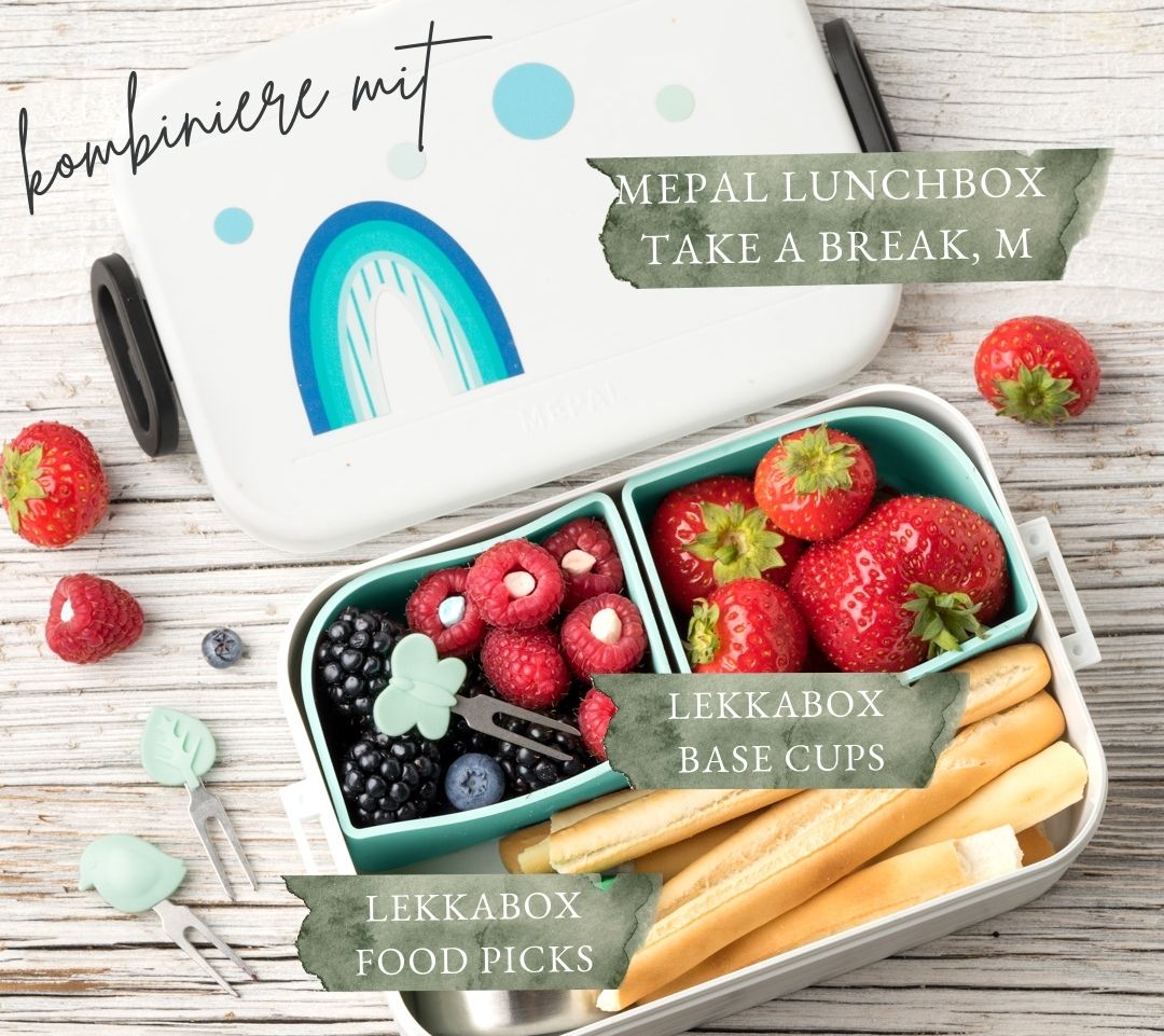 Forme din silicon Lekkabox Base (2 buc.) - diverse culori