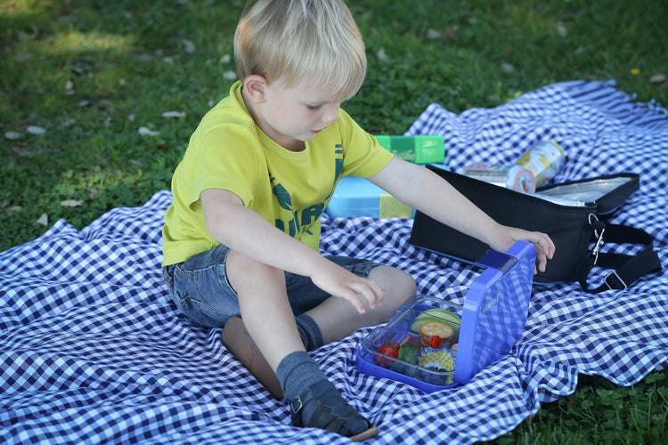 Lunchbox pentru băieți