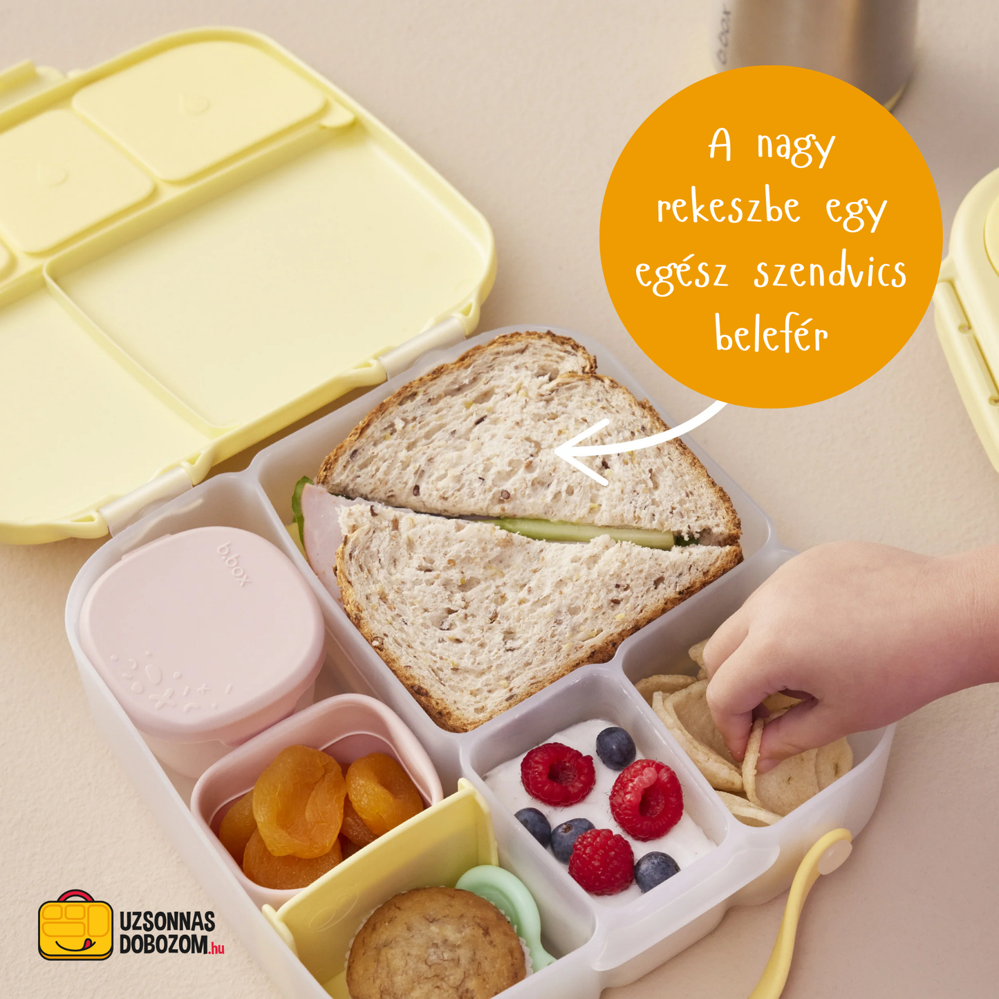 Lunchbox b.box mare (diverse culori)