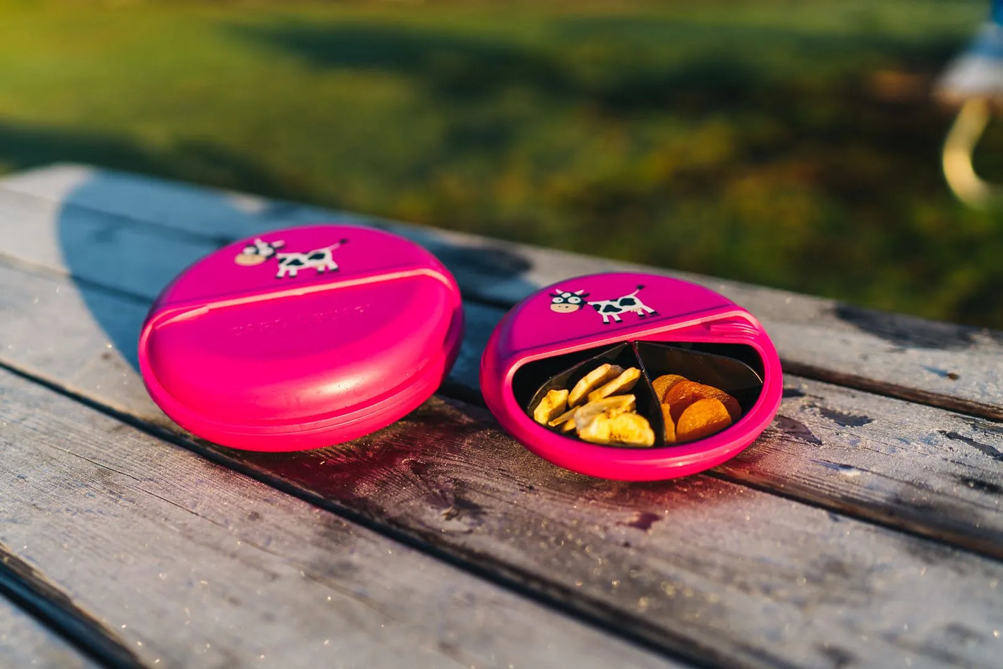 Carl Oscar SnackDISC (diverse culori) 