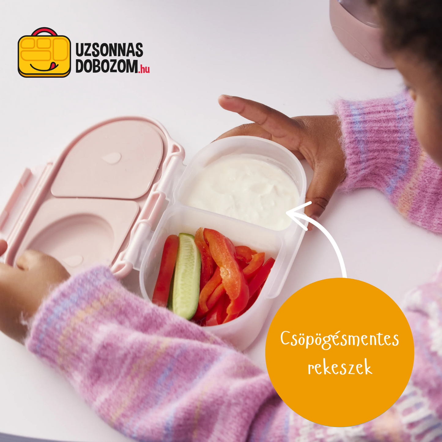 Snackbox b.box (diverse culori)