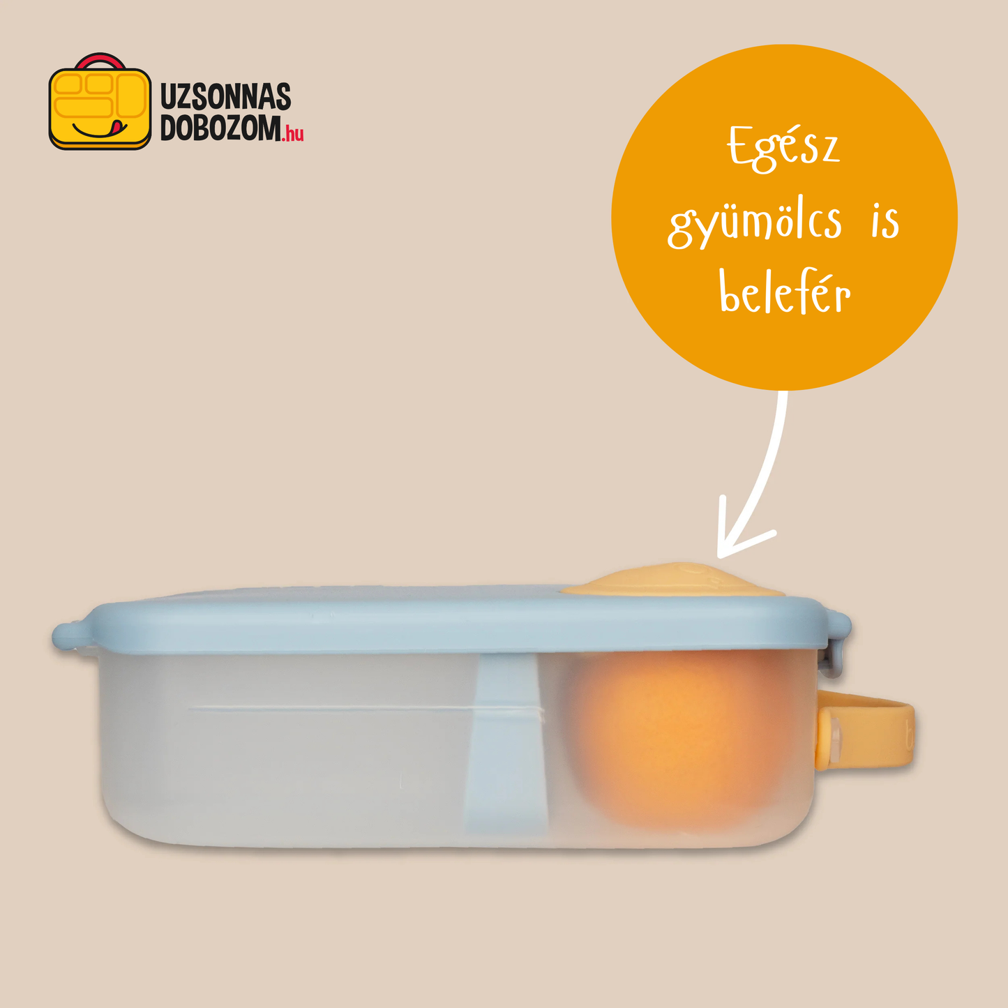 Lunchbox b.box mare (diverse culori)