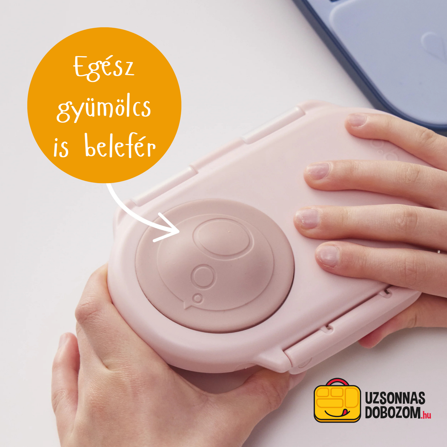 Snackbox b.box (diverse culori)