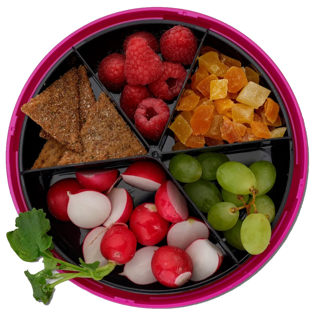 Carl Oscar BentoDISC (diverse culori) 