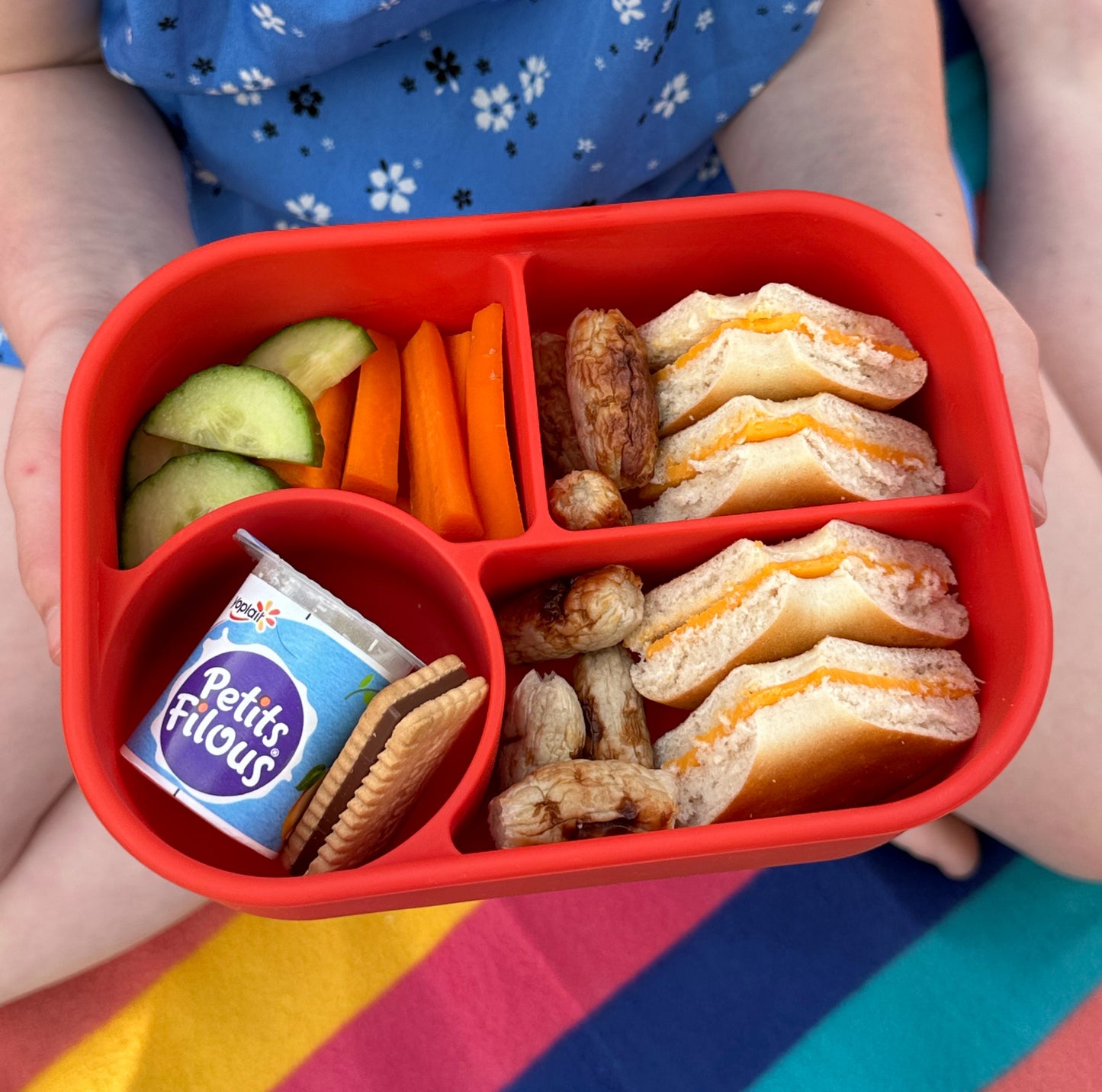 Pick Box - Bento (diverse culori)