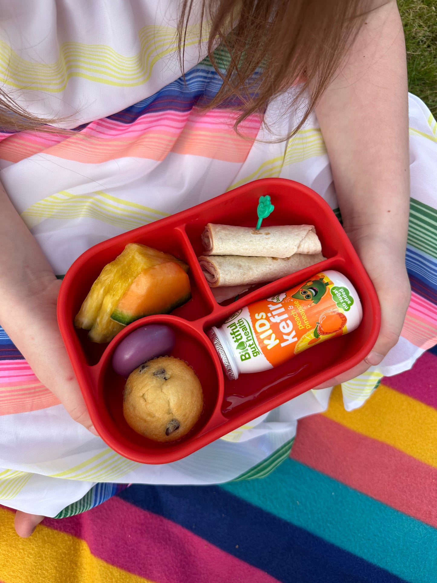 Pick Box - Bento (diverse culori)