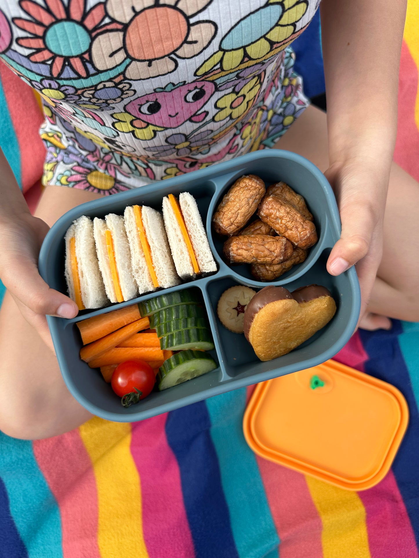 Pick Box - Bento (diverse culori)