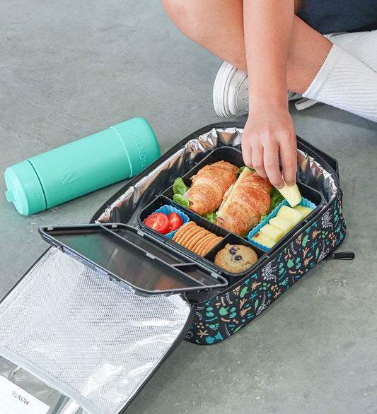 MontiiCo L - Dinosaur Land