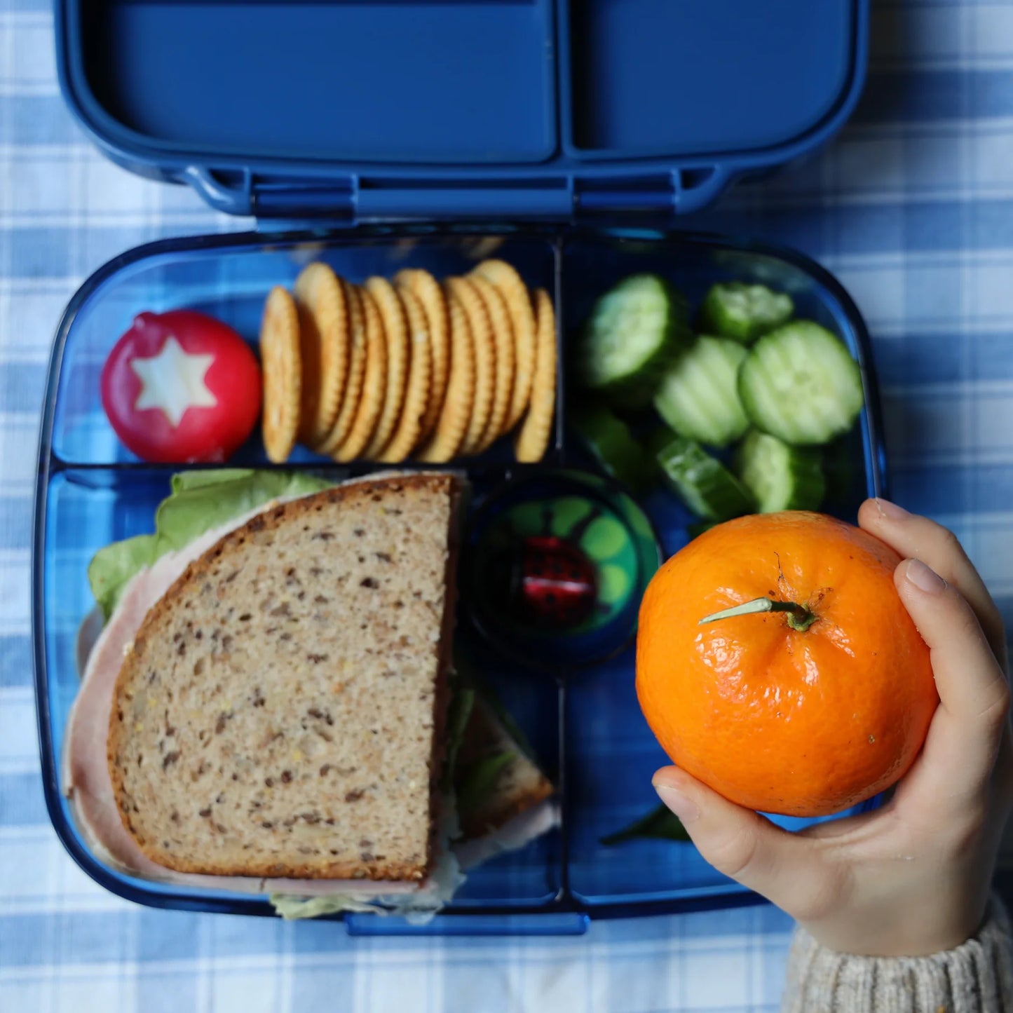 Yumbox Go / Oslo Albastru Închis