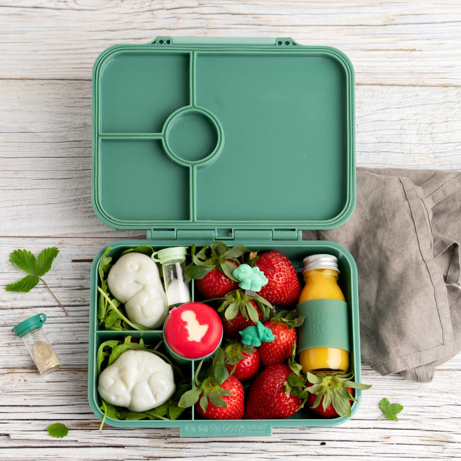 Forme pentru ou fiert- dinozauri