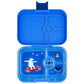 Yumbox Panino Surf Blue / Polar Bear